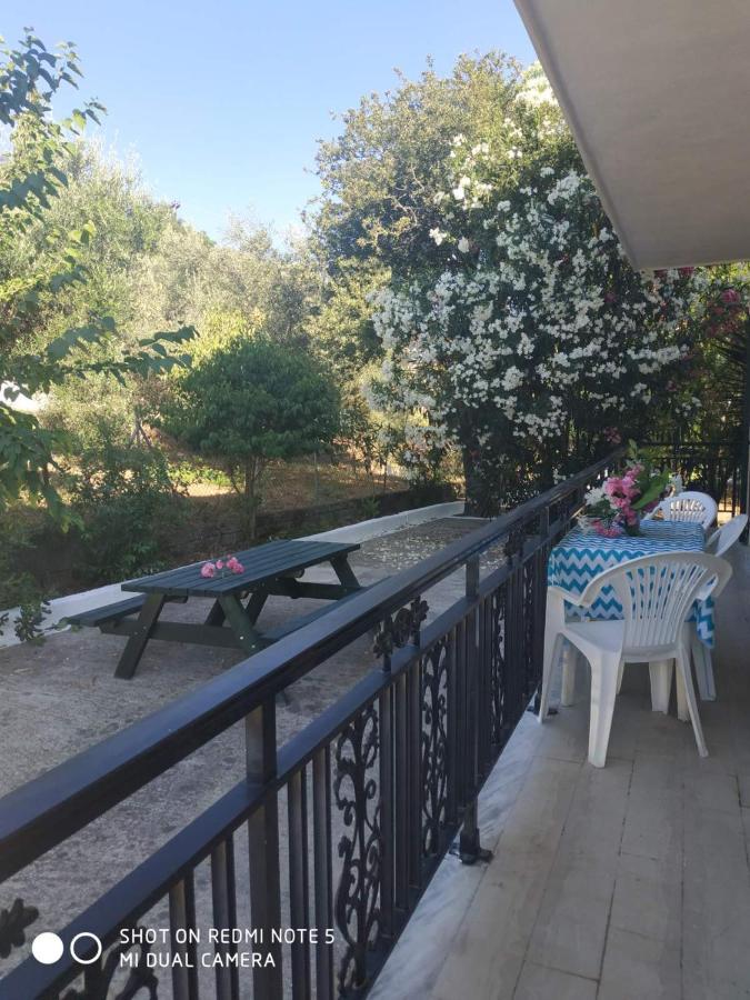 Dassia Green Apartments Zewnętrze zdjęcie